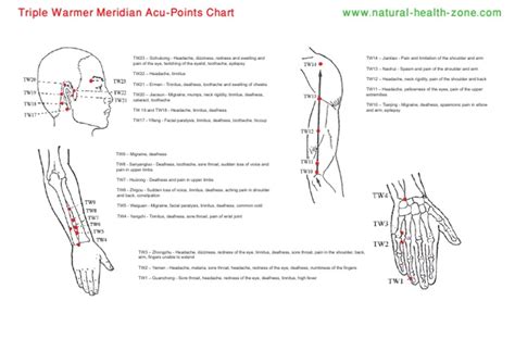 Triple Warmer Meridian Acupoint Chart Pdf Pdf Headache Symptoms