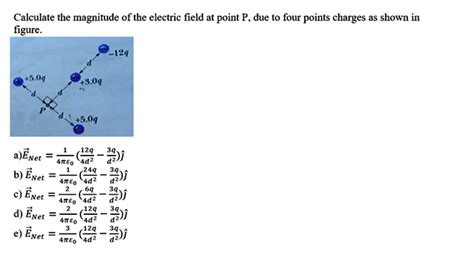 Solved Calculate The Magnitude Of The Electric Field At Point P Due