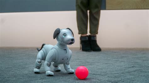 Sony’s Aibo robot dog is significantly more expensive than a real pooch ...