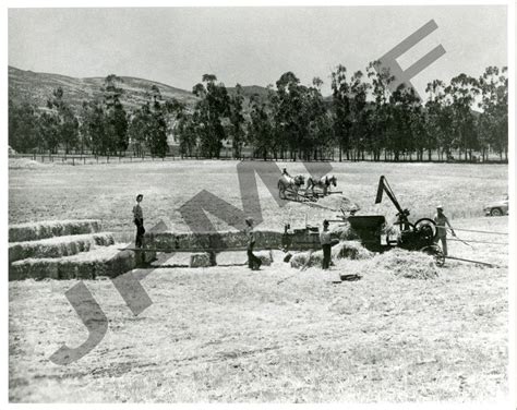 Photos - Joel and Frances McCrea Ranch Foundation Ranch, Sydney Opera ...