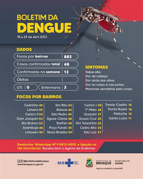 Dengue números atualizados apontam 48 casos no ano em Brusque Rádio