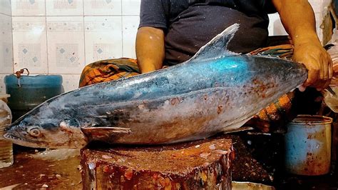 Giant Kingfish Mackerel Cutting And Slicing Skills By Expert Seer