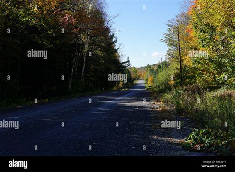 Fall Colours in Muskoka Stock Photo - Alamy