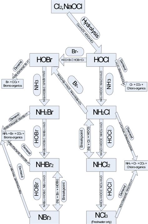 Reaction chemistry of chlorine in water (see online version for colours ...