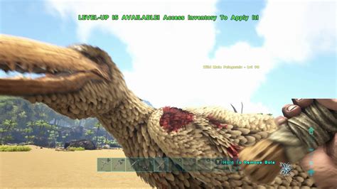 The Beginning Of Our Adventure Solo Ark Survival Evolved S E Youtube