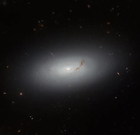 Hubble Captures Galaxy Ngc 3156