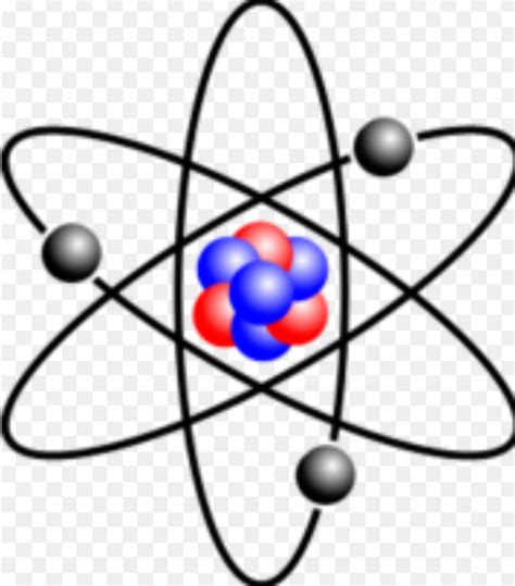 Mchs Biology Final Exam Diagram Quizlet