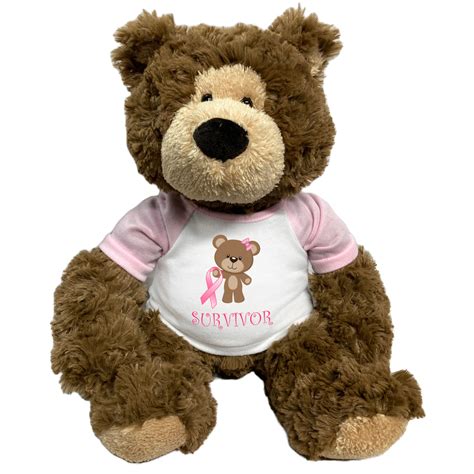 Breast Cancer Support Teddy Bear Personalized 14 Bear Hugs Survivo Mandys Moon