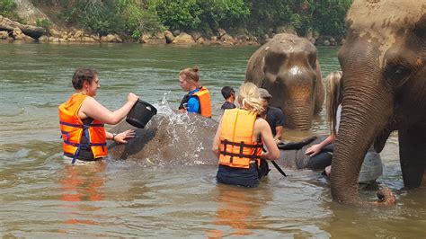 Thai Elephant Adventure – Anywhere But Here Travel