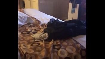 Chicago Search Page Xvideos