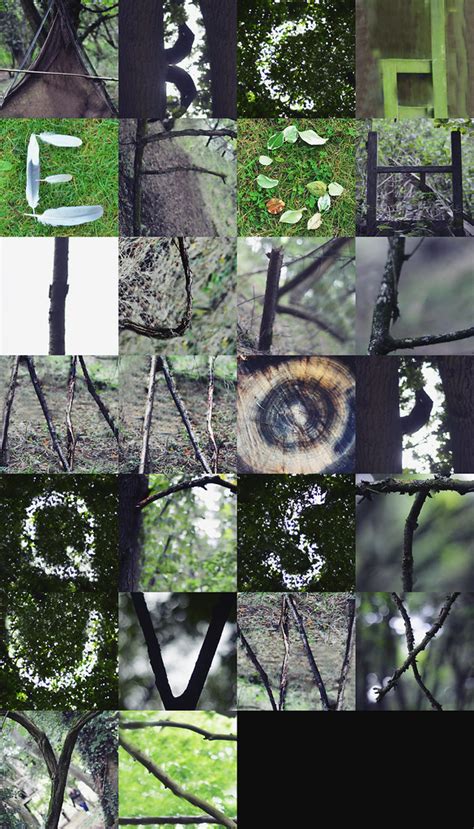 Nature S Alphabet Photos From Our College Woods Trip Face Flickr