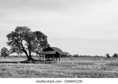 Blackandwhite Photos Cabins Fields Drought After Stock Photo