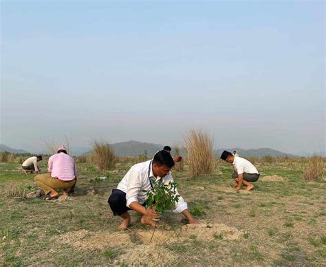 विश्व वातावरण दिवसको अवसरमा राप्तीमा १८ सय बढी वृक्षारोपण Sisne Online