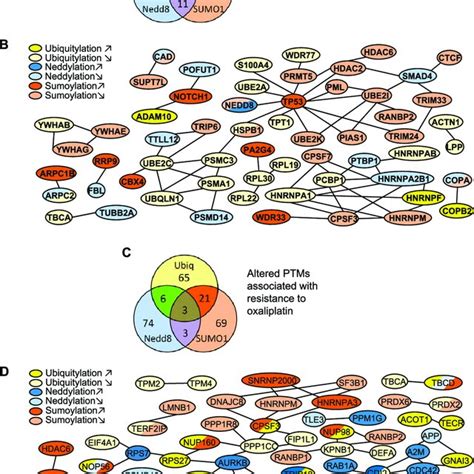 Gemcitabine And Oxaliplatin Resistance Induced Alterations Of Ptm