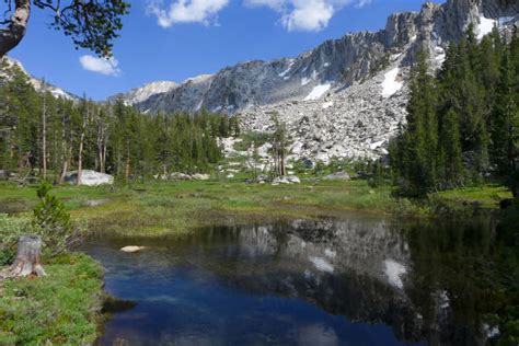john muir wilderness stock  pictures royalty  images istock