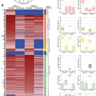 Proteome comparisons among conditions. (Figure A) Venn diagram of the ... 