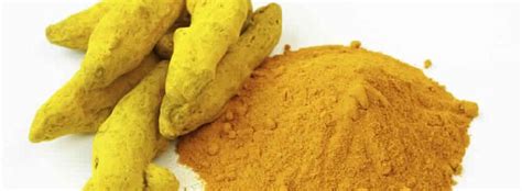 Natural Dried Common Turmeric Powder Certification Fda Certified