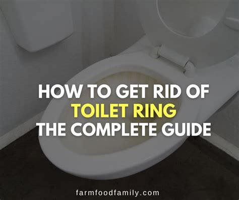 How To Get Rid Of Toilet Ring The Complete Guide 18 Methods