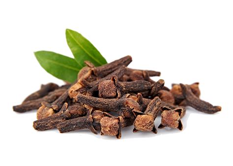 The Health Benefits of Cloves – Elderberry Queen