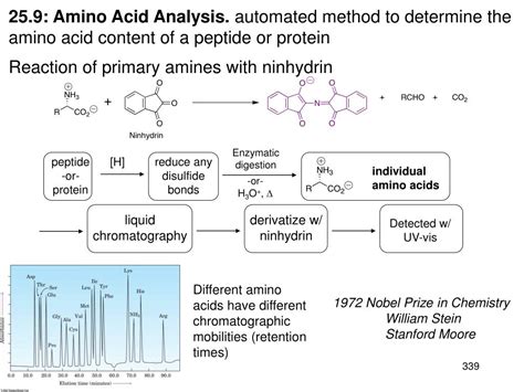 Ppt Chapter 25 Amino Acids Peptides And Proteins Monomer Unit Amino Acids Biopolymer