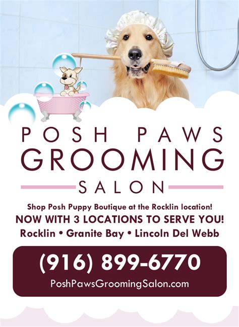 Posh Paws Grooming Salon—dog Grooming Salon In Granite Bay—style