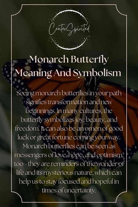 Monarch Butterfly Meaning And Symbolism of Seeing One