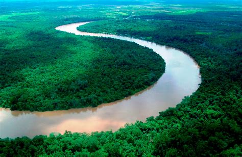 Manfaat Sungai Bagi Kehidupan Dan lingkungan - Hidup Alam Sehat