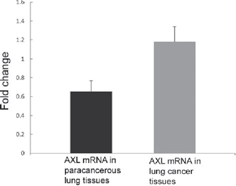 Figure From Role Of Axl Expression In Non Small Cell Lung Cancer