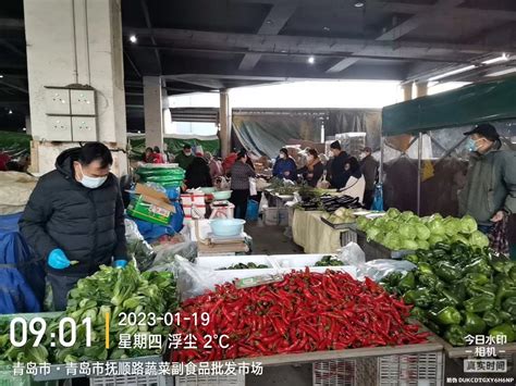 托稳“菜篮子” 青岛市商务局全力保障春节市场供应凤凰网青岛凤凰网