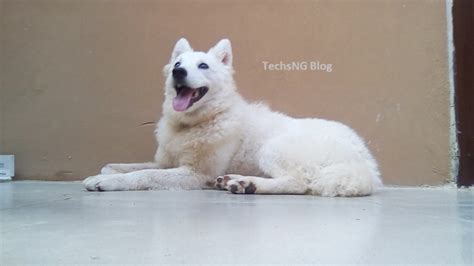 Revisión completa de Infinix Hot X asequibilidad en su máxima expresión Tecnología