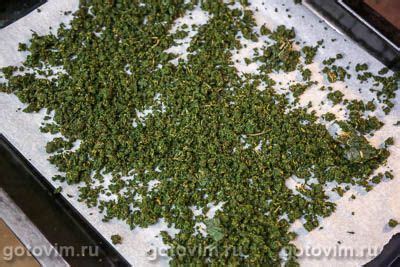 Ферментированный чай из листьев черемухи. Рецепт с фото