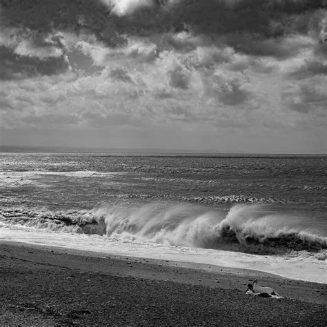 Spray 365 Day 233 Aberystwyth Was Doing That Sunnyshower Flickr