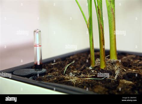 Flower pot water level indicator hi-res stock photography and images ...