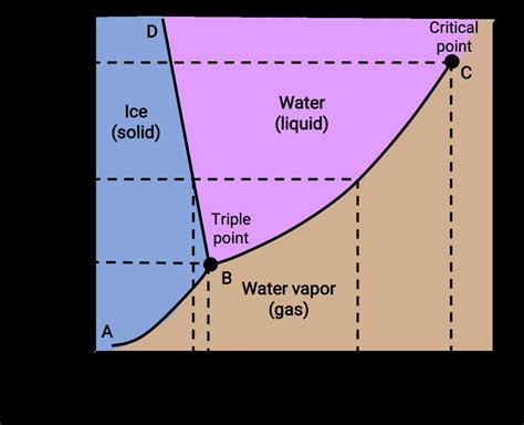 Understanding The Phase Diagram Of Water And Carbon Dioxide