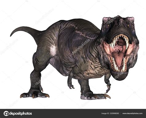 T-Rex roaring down on its feet - 3D render Stock Photo by ©Elenarts ...