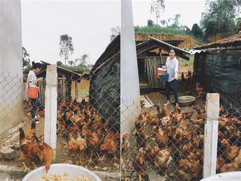 Hot girl chăn gà bỗng nổi như cồn vì quá xinh đẹp