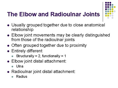 The Elbow And Radioulnar Joints Anatomy And Physiology