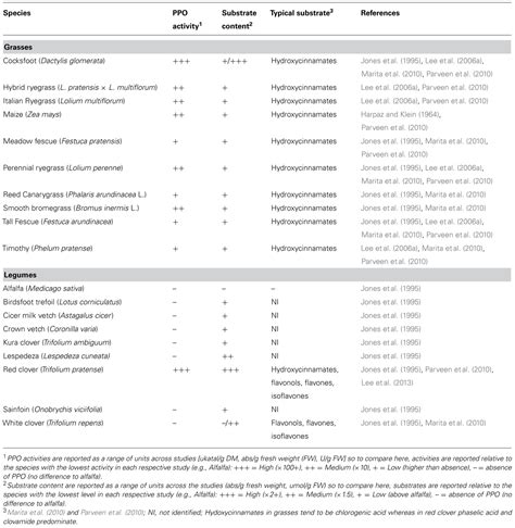 Frontiers | Forage polyphenol oxidase and ruminant livestock nutrition ...