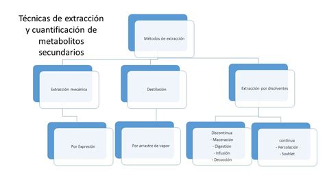 1 4 Técnicas de extracción y cuantificación de metabolitos secundarios