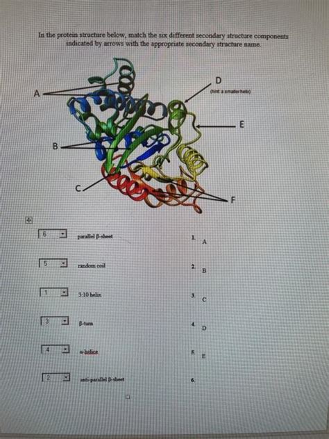 Solved In the protein structure below, match the six | Chegg.com 