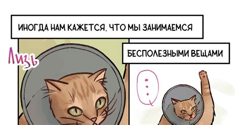 Котофилософия | Пикабу