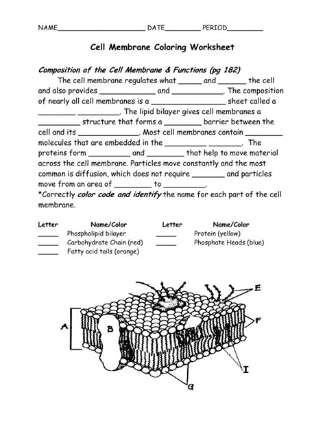 Cell Membrane Coloring