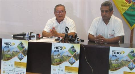 Anapo celebrará el Día Nacional del Trigo en un año clave para