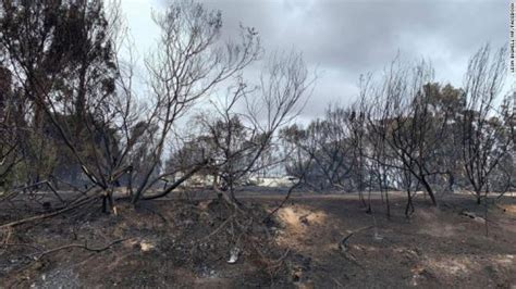 Incendios Forestales De 2020 Podrían Ser Peores Que En 2019 Desafío