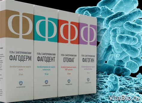 Дневник BACTERIOFAGI : LiveInternet - Российский Сервис Онлайн-Дневников
