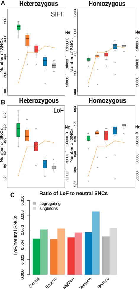 Mutational Load And Lof Variants A Individual Mutational Load In Download Scientific