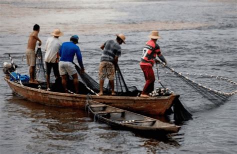 Pescadores De Veracruz Trabajan En Zona De Aguas Negras