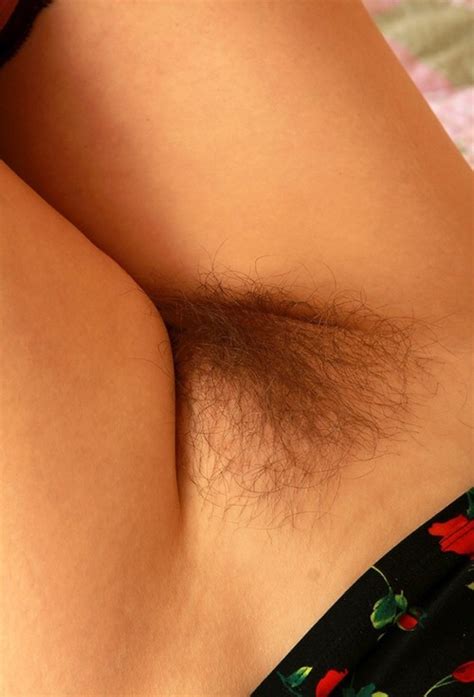 Hairy Pussy Tumblr Blog Gallery