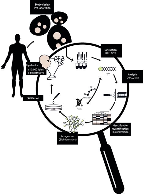 Lipidomics – AHRENDS LAB