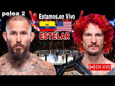 En Vivo Chito Vera Vs Sean O Malley Donde Ver A Que Hora Pelea